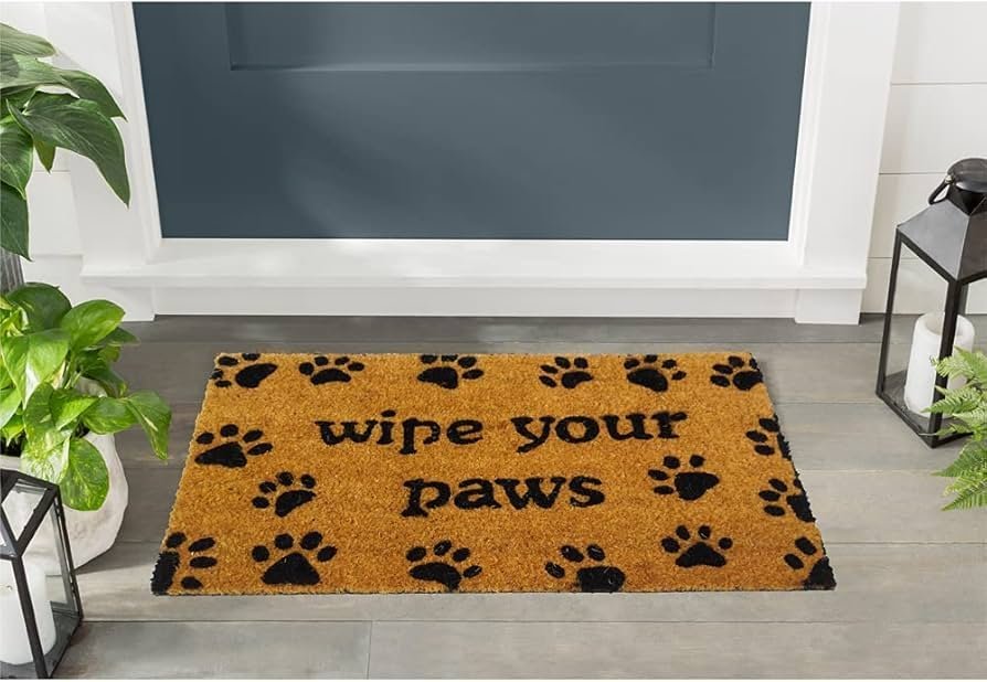 Wipe Your Paws Theme for Main Entrances of Home Office School Institutions 45 X75 CM with Rubber Backing Large Size for All Homes Set of 1